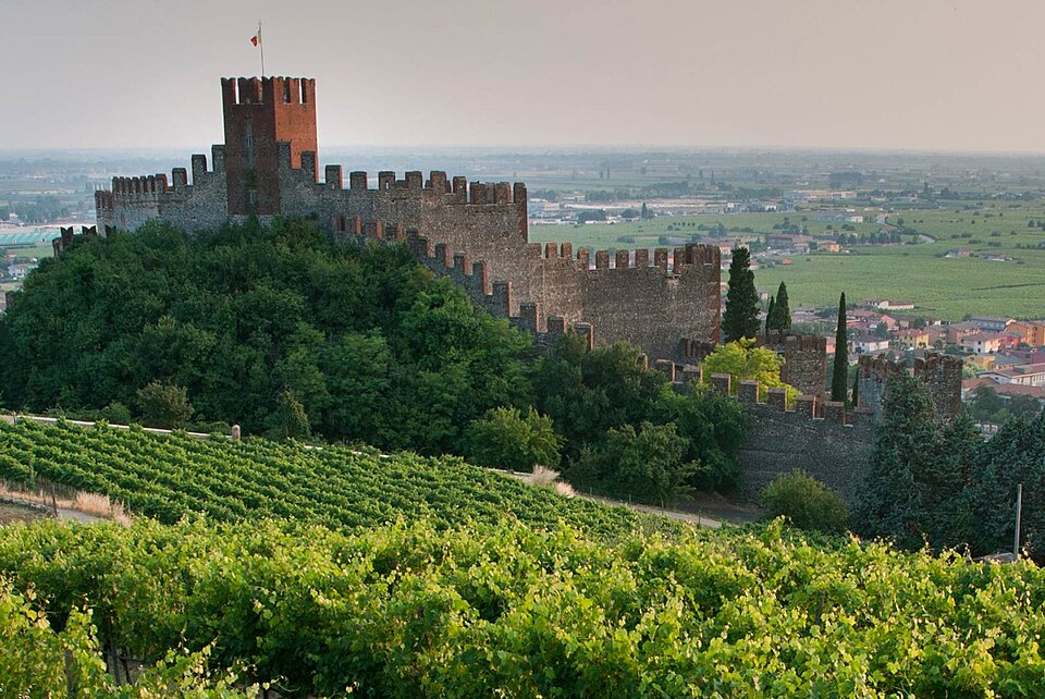 Vườn nho dưới chân lâu đài cổ vùng Soave, Veneto