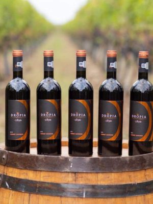 Cabernet Sauvignon -2018 - 2850