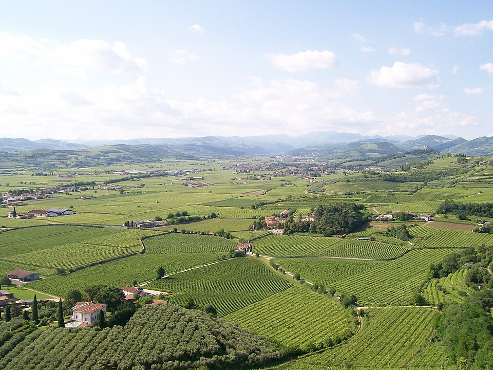 Toàn cảnh thung lũng Val d'Illasi, Verona – nơi có vườn nho Montevegro