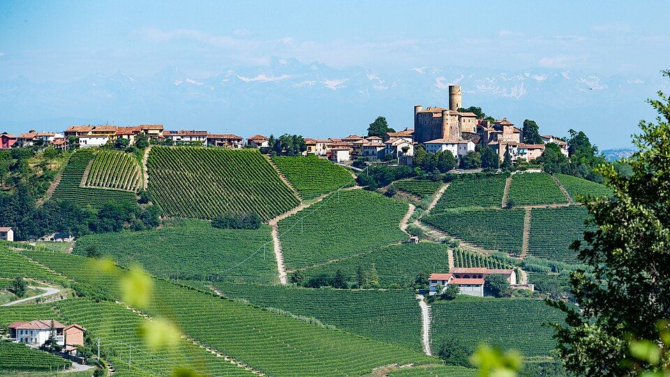 Lâu đài và vườn nho vùng Langhe, Piemonte