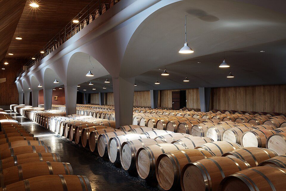Chai ủ vang với những hàng thùng gỗ sồi Bordeaux
