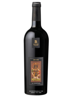 XAVIER VIGNON ARCANE LA FORTUNE ROUGE