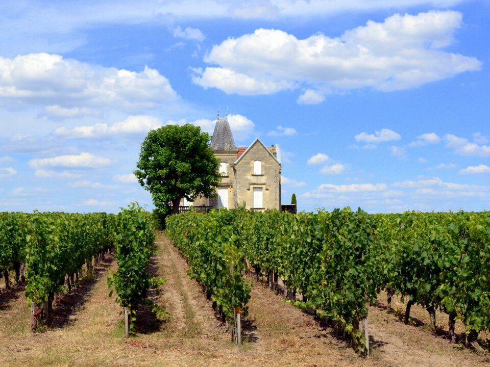Lâu đài giữa những vườn nho Saint-Émilion
