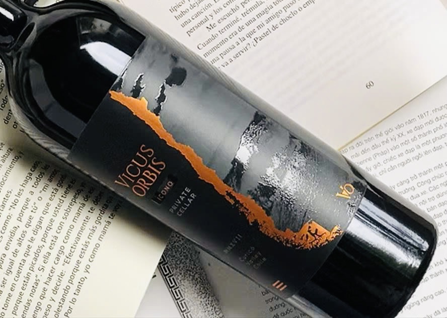 Vicus Orbis Ícono Private Cellar (9)