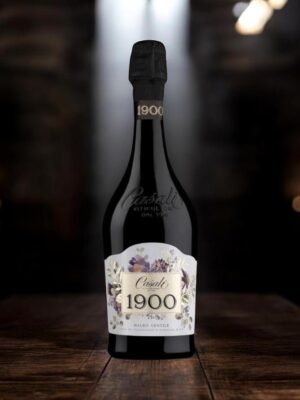 • 🍷1900 Malbo Gentile Colli di Scandiano e Canossa DOC