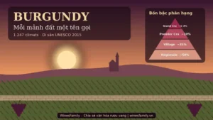 Minh họa vườn nho Burgundy lúc hoàng hôn với tường đá clos và tháp phân hạng bốn bậc Grand Cru, Premier Cru, Village, Régionale