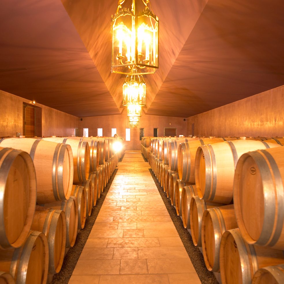 Hầm vang với những hàng thùng sồi Pháp – triết lý tuyển chọn WINESFAMILY